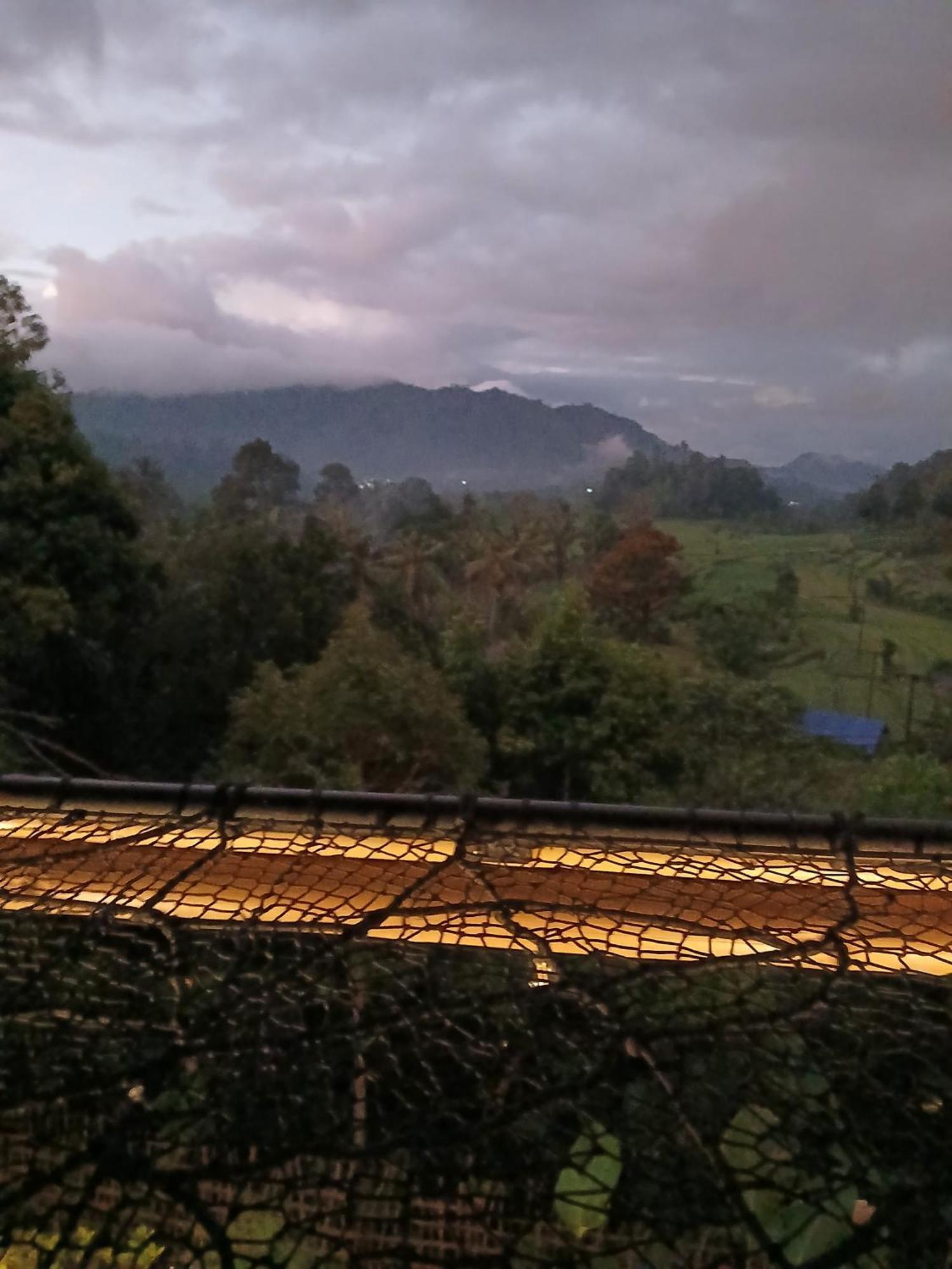 Danaswari Bali Bamboo House Villa Selat Екстериор снимка